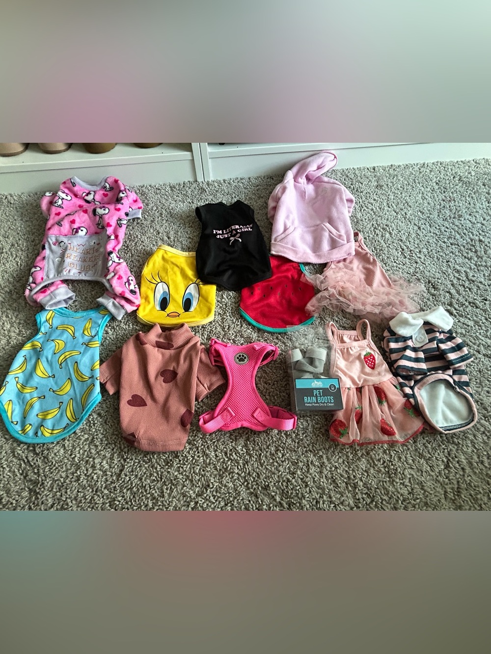 Assorted pet clothes/ accessories–Cute Patterns & Fun Prints! Selling as bundle.